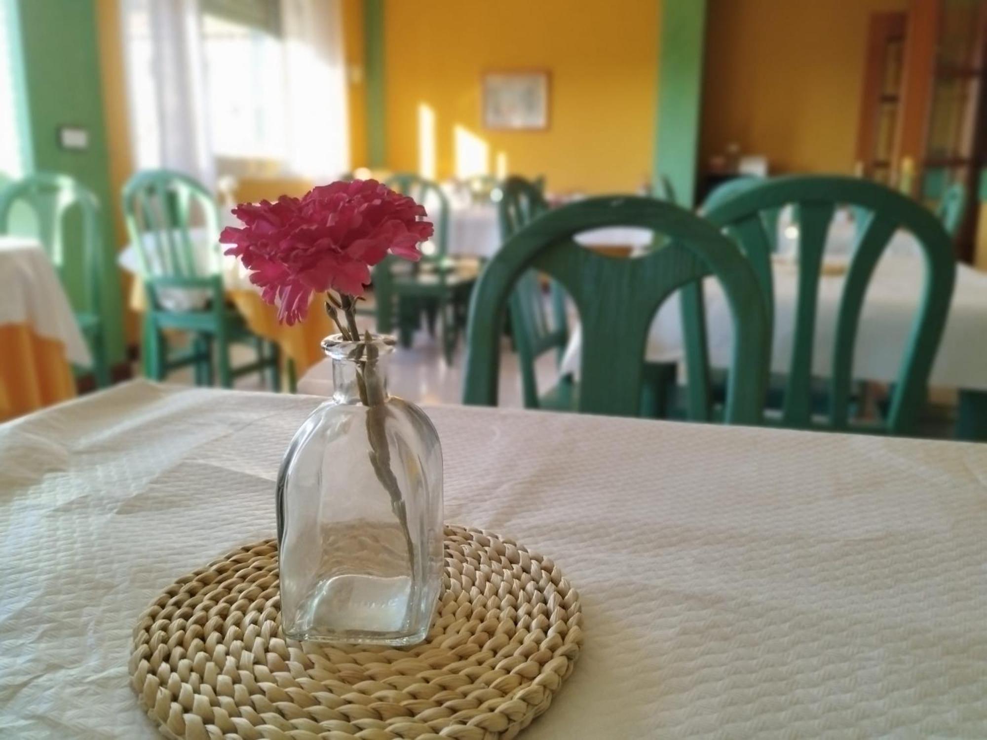 Hotel Matalenas Santander Dış mekan fotoğraf